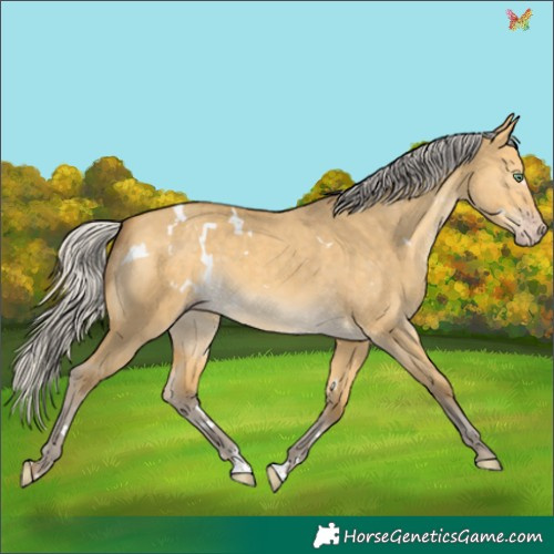 Horse Color:White Spotted Silver Sable Cream Champagne Dun 
