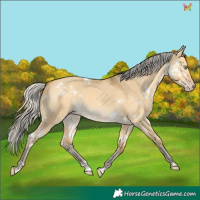 Horse Color:White Spotted Silver Amber Cream Champagne Dun 