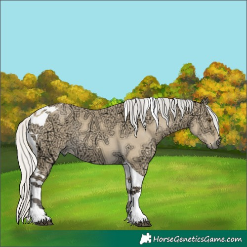 Horse Color:Silver Buckskin Ice Dun Tobiano 