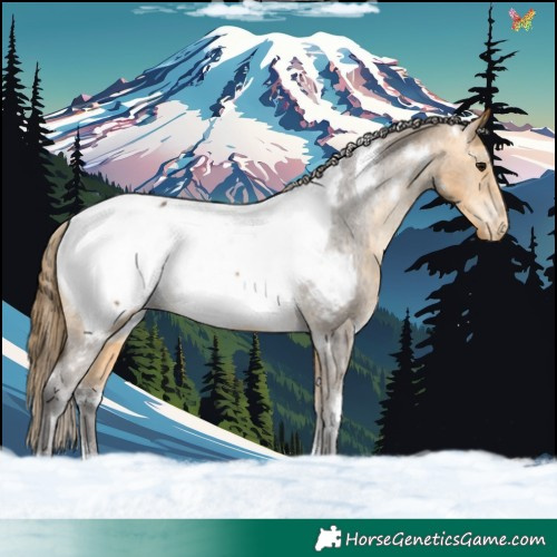 Horse Color:White Spotted Buckskin Snowcap 