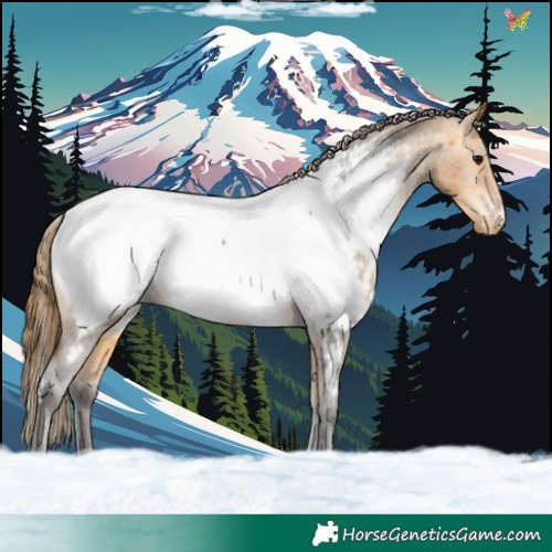 Horse Color:White Spotted Buckskin Snowcap 