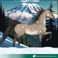 Horse Color:White Spotted Brown Dun 
