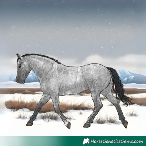 Horse Color:Blue Ice Roan 
