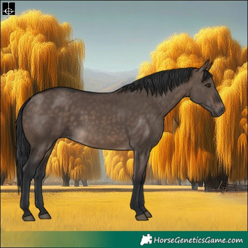 Horse Color:Brown Dun Rabicano 