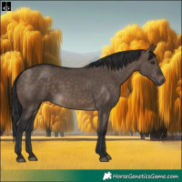 Horse Color:Brown Dun Rabicano
