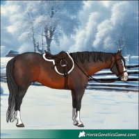 Horse Color:Brown Splash