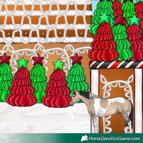 Horse Color:Brown Dun Tobiano Rabicano