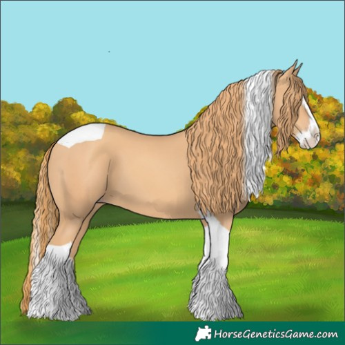 Horse Color:Gold Champagne Splash Tobiano 