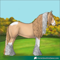 Horse Color:Gold Champagne Splash Tobiano