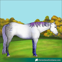 Horse Color:ERROR: UNKNOWN ANOMALY