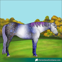 Horse Color:ERROR: UNKNOWN ANOMALY