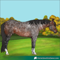 Horse Color:Brown Ice 