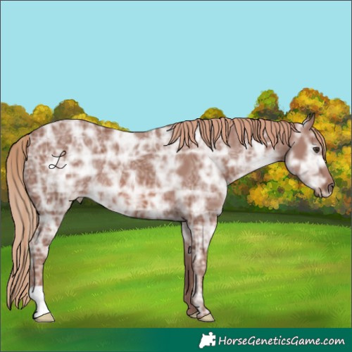 Horse Color:Chestnut Ice 