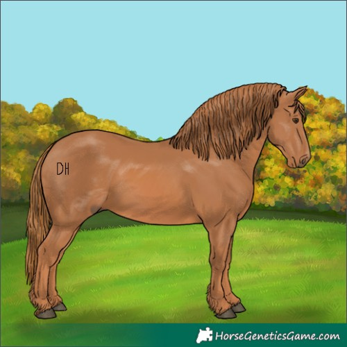 Horse Color:Unknown 