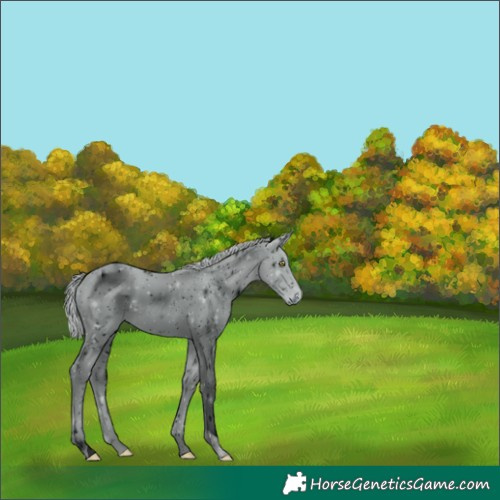 Horse Color:ERROR: UNKNOWN ANOMALY