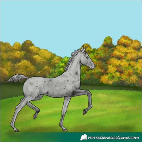 Horse Color:ERROR: UNKNOWN ANOMALY