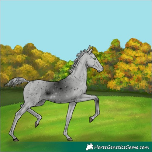 Horse Color:ERROR: UNKNOWN ANOMALY