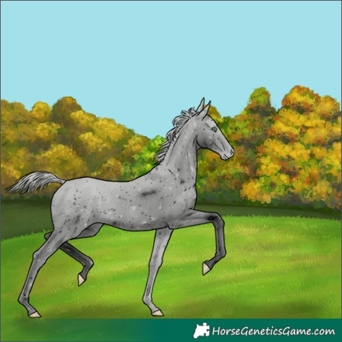 Horse Color:ERROR: UNKNOWN ANOMALY