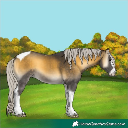 Horse Color:Silver Buckskin Onyx Sabino Tobiano 