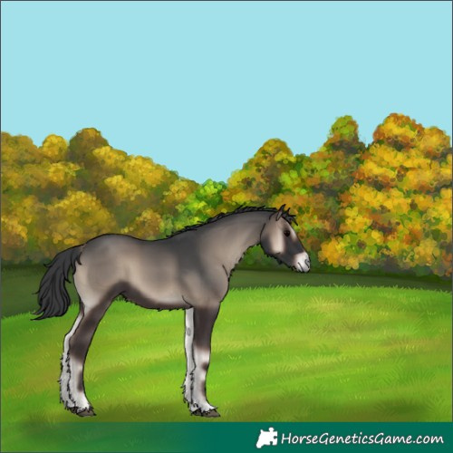 Horse Color:Blue Onyx Tobiano 