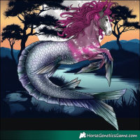 Horse Color:Black Sabino 