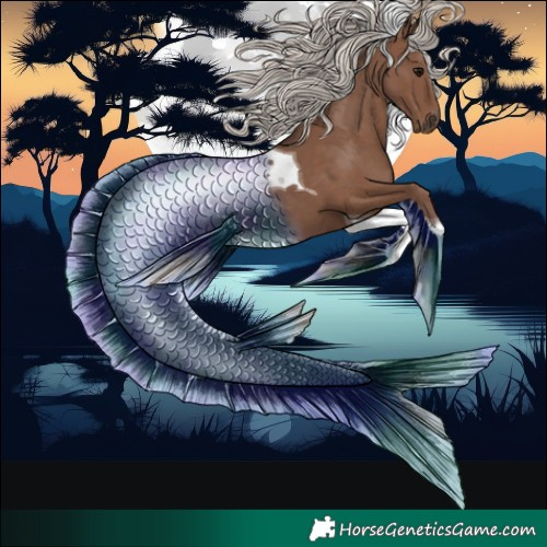 Horse Color:Silver Black Tobiano 