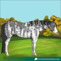 Horse Color:Black Sabino