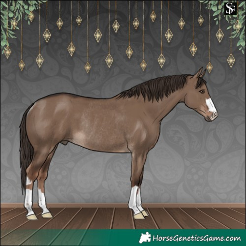 Horse Color:Liver Red Dun Rabicano
