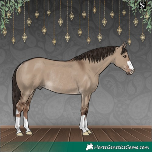 Horse Color:Liver Red Dun Rabicano 