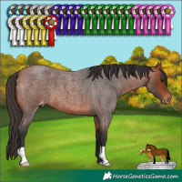 Horse Color:Bay Roan Varnish 