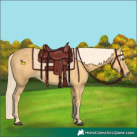 Horse Color:Palomino 