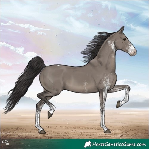 Horse Color:White Spotted Smoky Grullo Tobiano