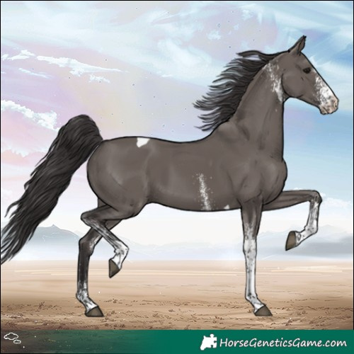 Horse Color:White Spotted Smoky Grullo Tobiano