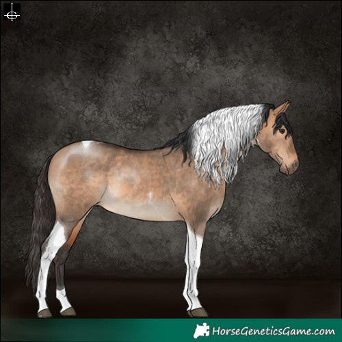 Horse Color:Bay Dun Tobiano Rabicano 