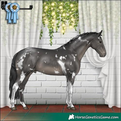 Horse Color:White Spotted Black Tobiano Varnish 