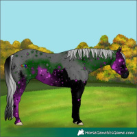 Horse Color:ERROR: UNKNOWN ANOMALY