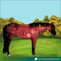 Horse Color:ERROR: UNKNOWN ANOMALY