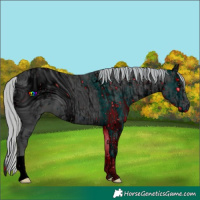 Horse Color:ERROR: UNKNOWN ANOMALY