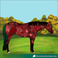 Horse Color:ERROR: UNKNOWN ANOMALY
