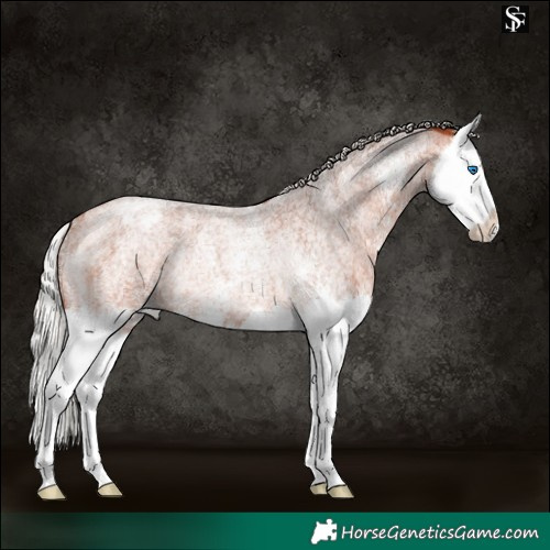 Horse Color:Silver Bay Roan Sabino Splash Blanket Rabicano 
