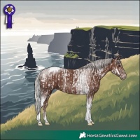 Horse Color:Silver Black Tobiano Appaloosa and Silver Black Tobiano Rabicano