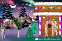 Horse Color:Silver Black Tobiano Appaloosa  and Silver Black Tobiano Rabicano 