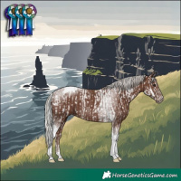 Horse Color:Silver Black Tobiano Appaloosa  and Silver Black Tobiano Rabicano 