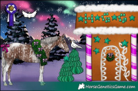 Horse Color:Silver Black Tobiano Appaloosa  and Silver Black Tobiano Rabicano 