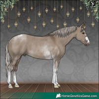 Horse Color:Silver Grullo Tobiano Rabicano 
