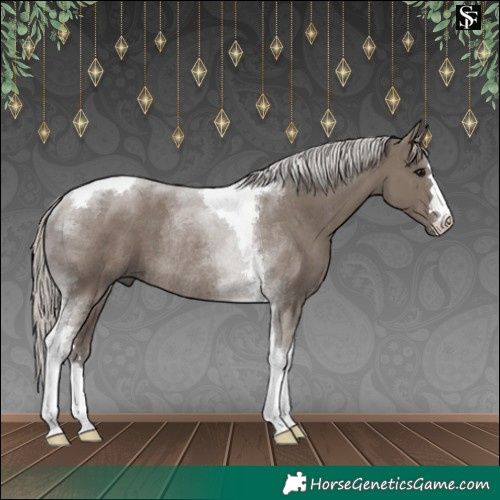 Horse Color:Silver Grullo Tobiano Rabicano 