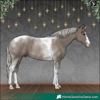Horse Color:Silver Grullo Tobiano Rabicano 