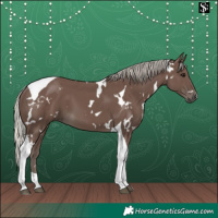 Horse Color:White Spotted Silver Black Tobiano 