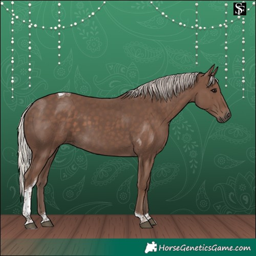 Horse Color:Silver Black Tobiano 