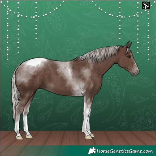 Horse Color:Silver Black Tobiano 